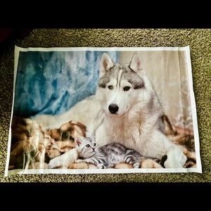 Siberian husky & kitten painting